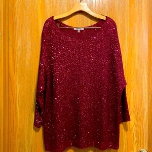 DKNYC Sequin Sweater EUC 2X